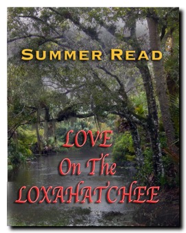 Love On The LOX COVER ebook